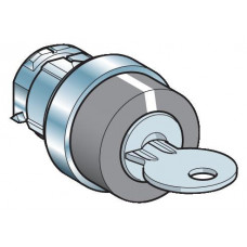 ГОЛОВКА ПЕРЕКЛ.С КЛЮЧЕМ 421 KAXZ1S193 | KAXZ1S193 | Schneider Electric