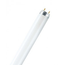 Лампа линейная люминесцентная ЛЛ 36Вт Т8 G13 840 L LUMILUX d26х1200мм | 4008321581419 | OSRAM