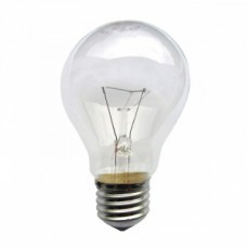 Лампа накаливания ЛОН 40Вт Е27 220В ДШ (А45) | Б0017701 | ЭРА