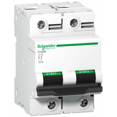 Выключатель автоматический двухполюсный C120H 100А C 15кА | A9N18458 | Schneider Electric