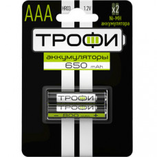 Аккумулятор Трофи HR03-2BL 650 mAh (20/240/17280) (AAA) | Б0019499 | ЭРА