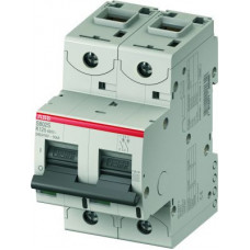 Выключатель автоматический двухполюсный S802S 125А K 50кА (S802S K125) | 2CCS862001R0647 | ABB