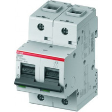 Выключатель автоматический двухполюсный S802N 50А D 36кА (S802N D50) | 2CCS892001R0501 | ABB