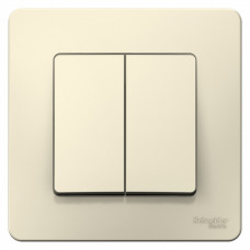 Blanca С/У Молочный Переключатель 2-клавишный, 10А, 250B | BLNVS106602 | Schneider Electric
