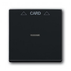 Плата центральная (накладка) для механизма карточного выключателя 2025 U, серия solo/future, цвет антрацит/чёрный | 1710-0-3639 | ABB