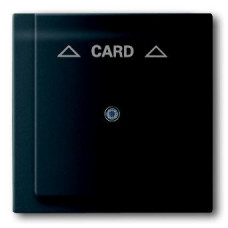 Плата центральная (накладка) для механизма карточного выключателя 2025 U, серия impuls, цвет чёрный бархат | 1753-0-0159 | ABB