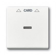 Плата центральная (накладка) для механизма карточного выключателя 2025 U, серия solo/future, цвет davos/альпийский белый | 1710-0-3641 | ABB