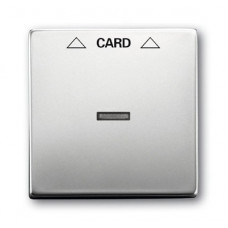 Плата центральная (накладка) для механизма карточного выключателя 2025 U, серия pur/сталь | 1710-0-3757 | ABB