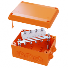 Коробка пластиковая FS с кабельными вводами и клеммниками, IP56,100х100х50мм, 5р, 450V,10A, 6мм.кв. | FSB11506 | DKC